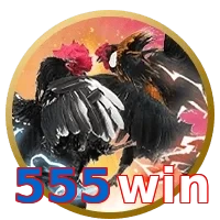 555win