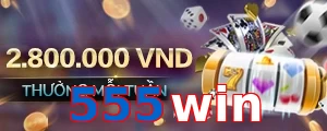 555win